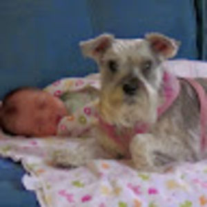 Meet your Posher, Christy